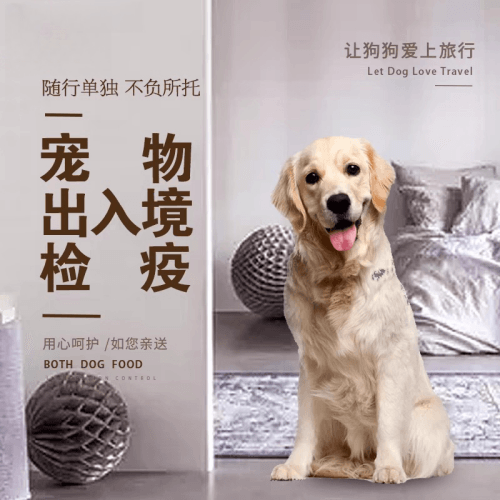 临高县宠物托运到哥伦比亚猫狗宠物入境规定和