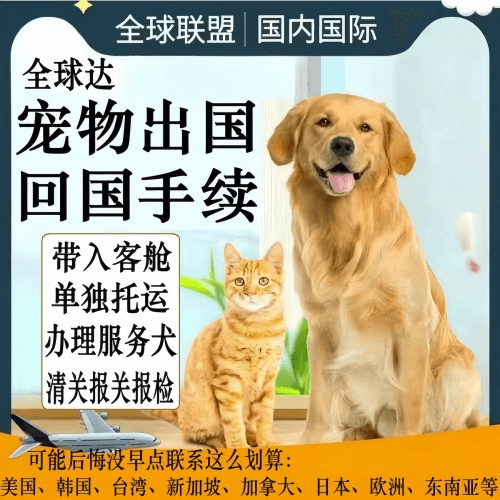 临高县宠物托运到柬埔寨宠物入境规定和要求
