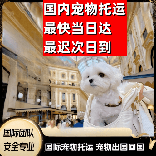 临高县到澳大利亚（澳洲）宠物入境规定和要求