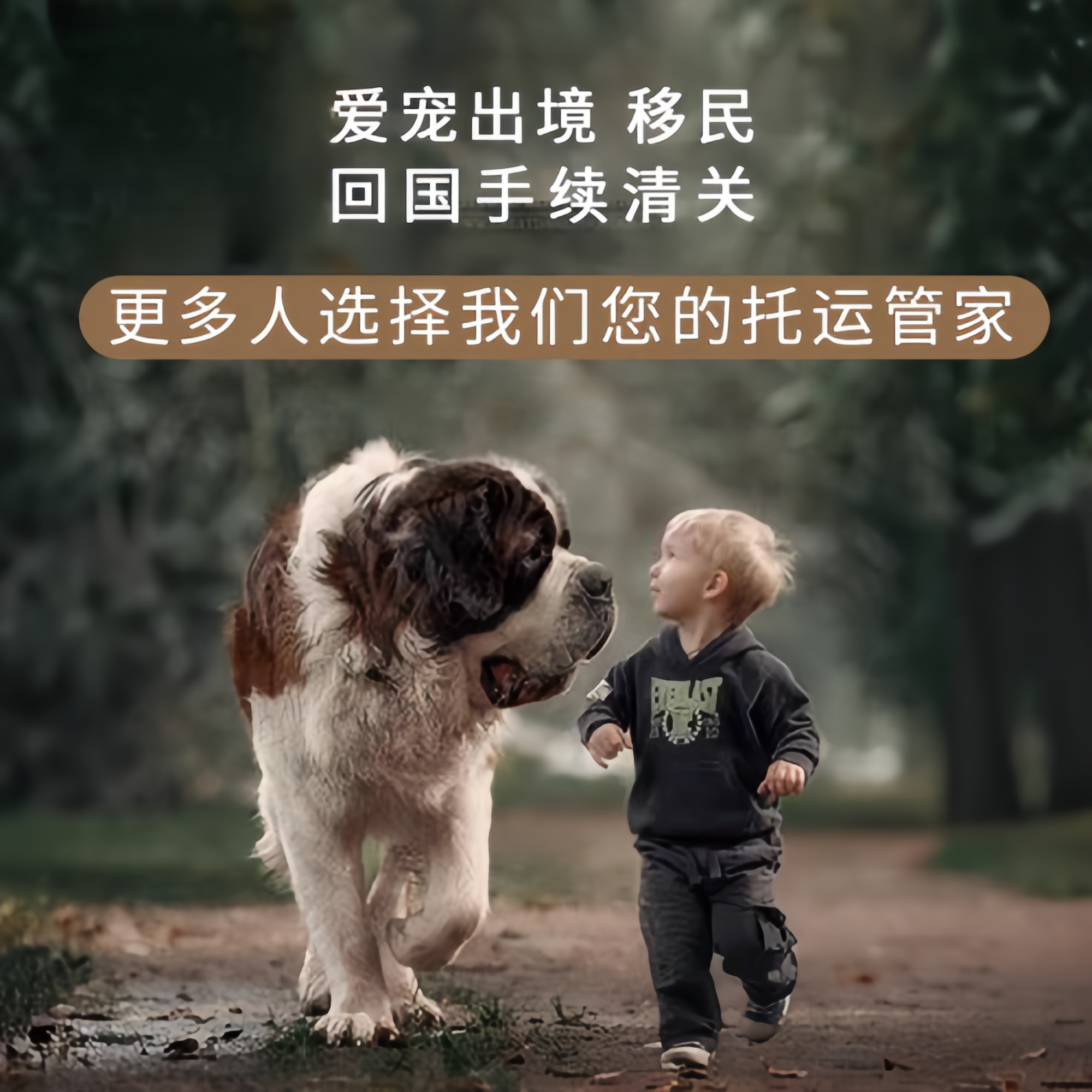 满财临高县宠物全球达宠物托运在遵守入境目的地政策的条件