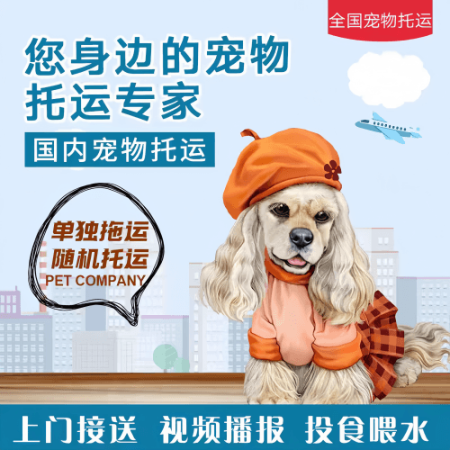 满财临高县宠物全球达宠物托运作为专业的宠物运输代理机构